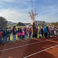 Eine Gruppe von Kindern, angezogen in bunten Winterjacken, steht auf einem Sportplatz. Sie bilden eine Reihe und schauen auf eine Person, die vor ihnen steht. Im Hintergrund sind Bäume und Gebäude sichtbar. Der Himmel ist blau mit einigen Wolken.
